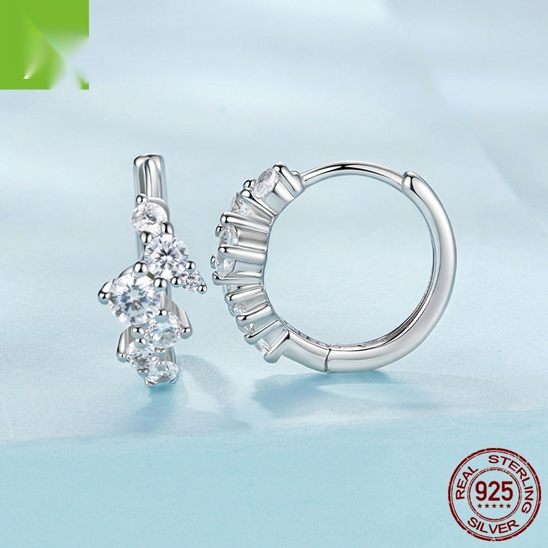 Exquisite Flash Zircon Earrings Women's Light Luxury All-matching Weloria