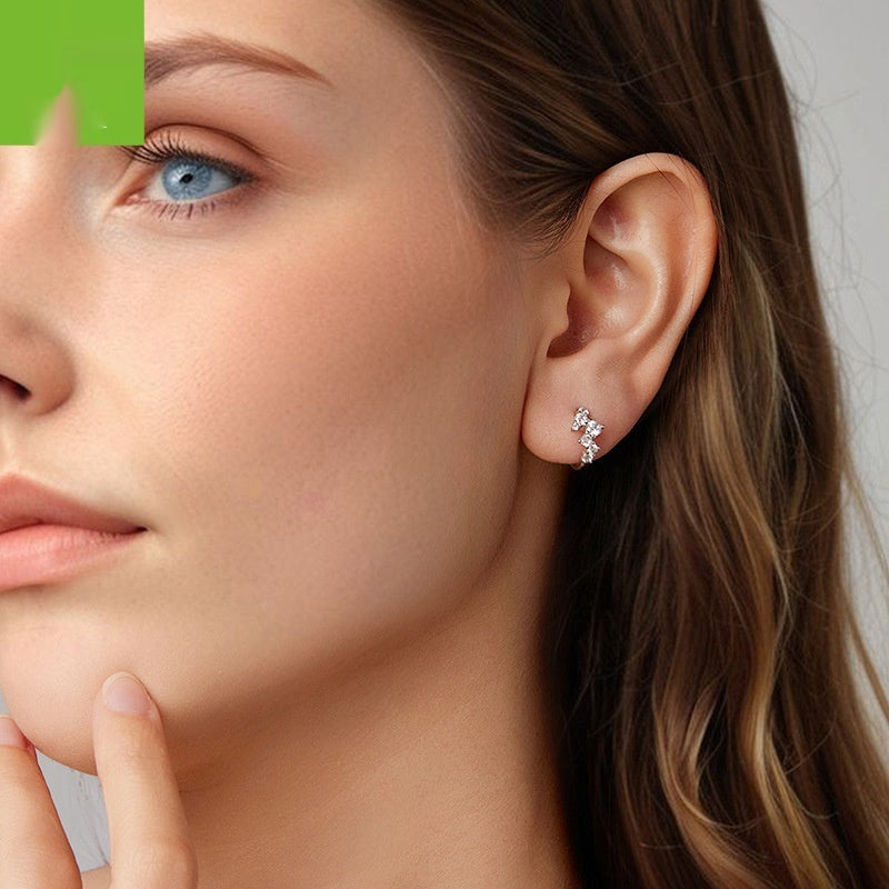 Exquisite Flash Zircon Earrings Women's Light Luxury All-matching Weloria