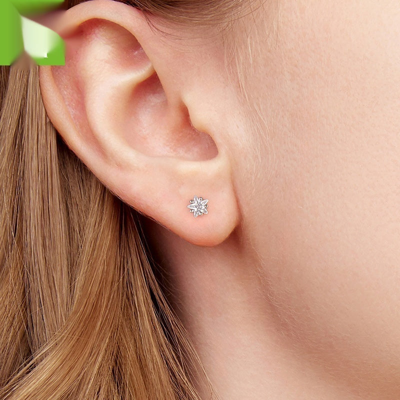 Exquisite XINGX Small Ear Studs Women's Classic All-matching Weloria